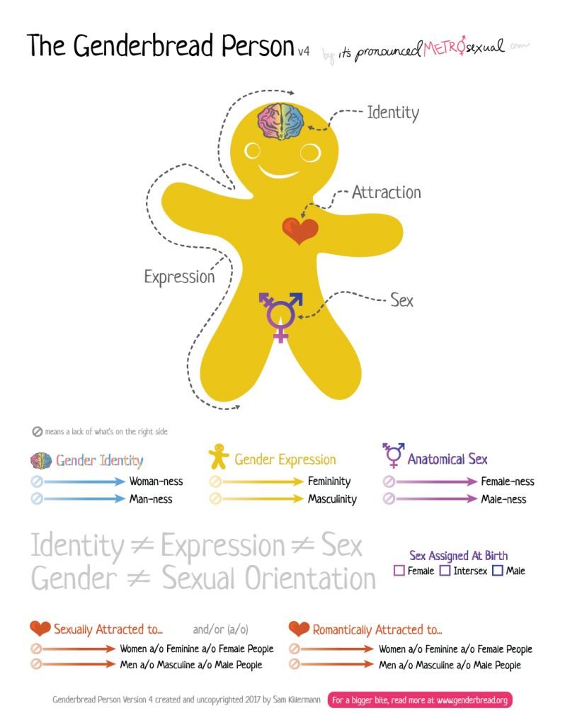 genderbread-798x1024